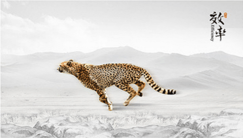 公司管理理念圖片